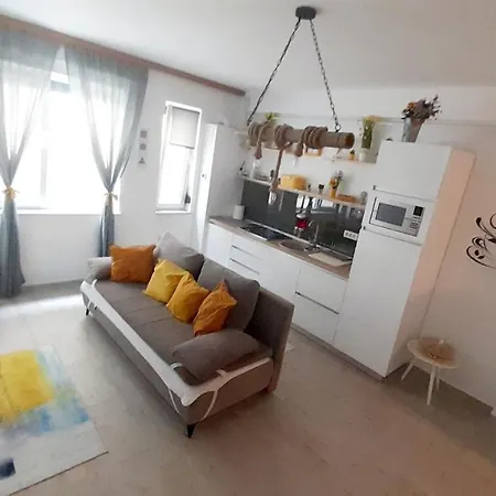 Dely Mamaia Nord Navodari